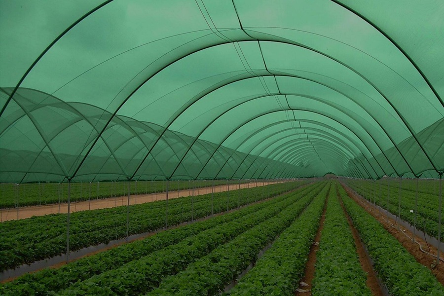 Bahçe Gölgelik File BGF-2024 — UV Stabilize HDPE Bahçe Teras Pergola Çit Sebze Meyve Bahçesi Gölgeleme İstanbul